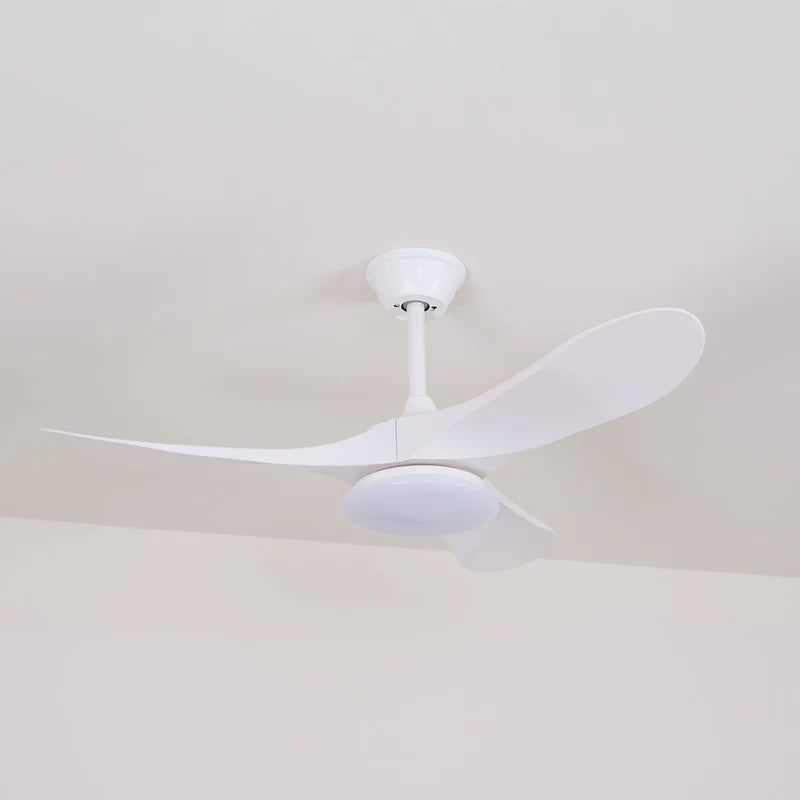 Plafonnier Ventilateur Bois LED Silencieux Télécommande | Noémie