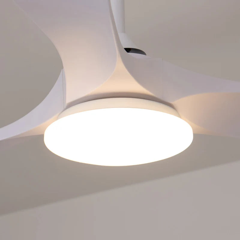 Plafonnier Ventilateur Bois LED Silencieux Télécommande | Noémie