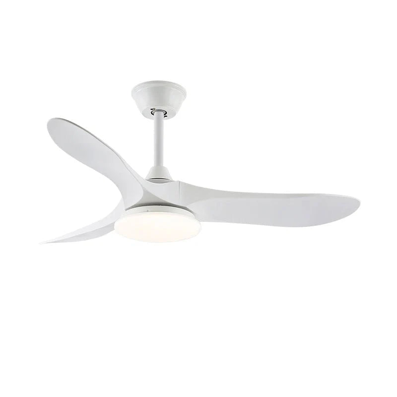 Plafonnier Ventilateur Bois LED Silencieux Télécommande | Noémie